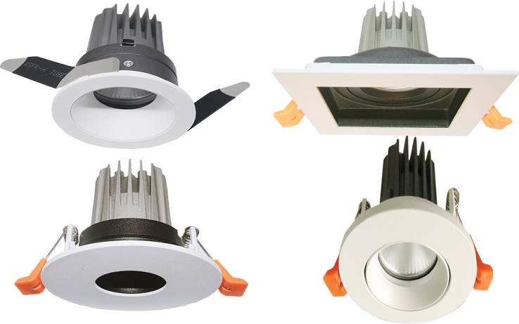 LED Module Down Light